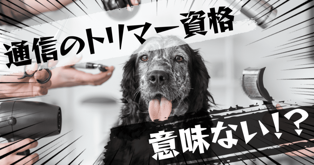 通信のトリマー資格は意味ない？意味ある？評判とおすすめの代替案を紹介