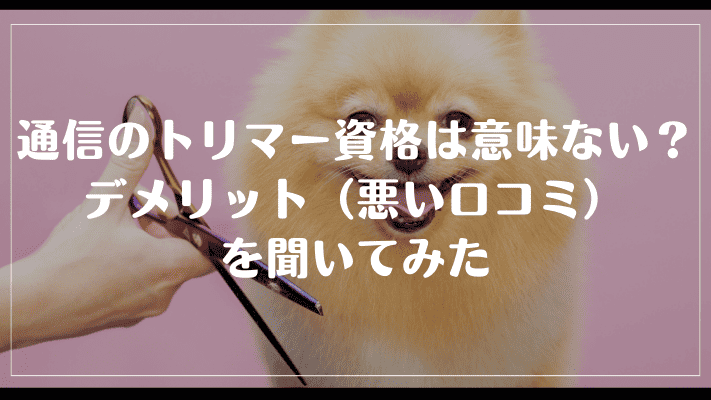通信のトリマー資格は意味ない？デメリット（悪い口コミ）を聞いてみた