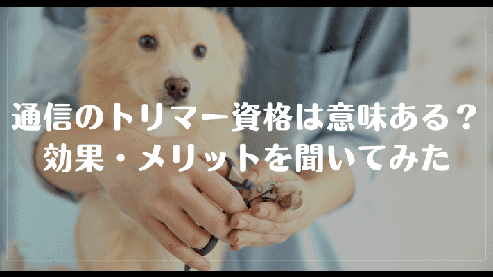 通信のトリマー資格は意味ある？効果・メリットを聞いてみた